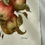 Thumbnail: Autumn Apple Watercolor Original
