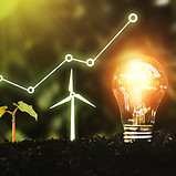 RenewableEnergyLightBulb_edited.jpg
