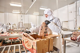 RIBE ABRIL2020_0256.jpg