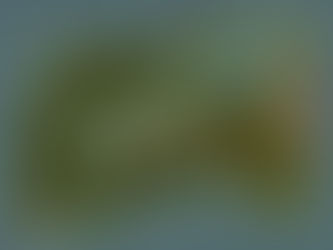 Maps of Ryk!! Dragonsown 1 & 2