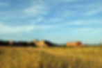Agriturismo