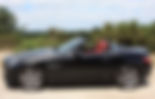 IMG_9534.jpeg