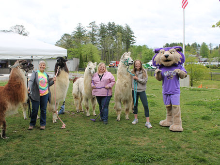 Another Successful May Fest at the Boys & Girls Club of the Plateau