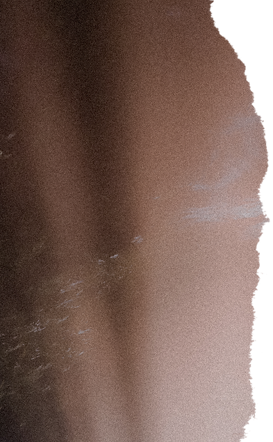 Home_Edge_Left_Flipped.png