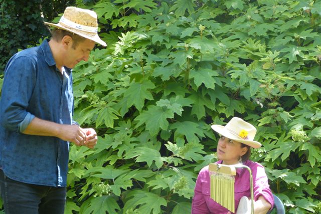 Journée Nationale des Jardins - 2