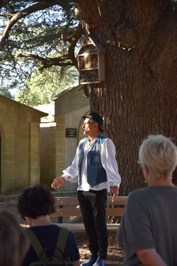 Eric sous le Cèdre
