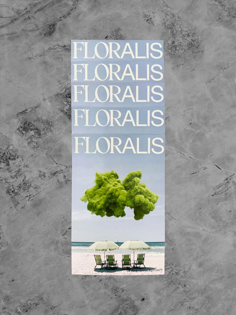 Floralis × Duart Curators - Art Collaboration
