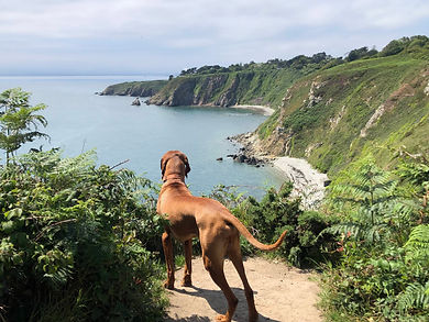 Hikes In Dublin