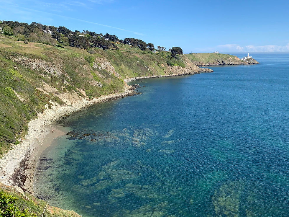 Howth Cliff Path View