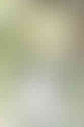 Downtown Mobile senior portraits with colorful flowers and urban backdrops