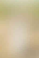 High school senior standing in a green field during a natural light Pensacola senior portrait session.