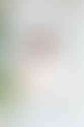 Meredith posing near greenery during her Fairhope senior portrait session.