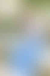 Meredith’s downtown Fairhope senior portraits showcasing greenery and historic architecture.