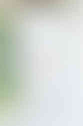 High school senior portrait of Ashley during a Fairhope senior photo session, featuring a confident Baldwin County Virtual School senior in a natural outdoor setting.