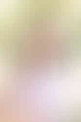 Downtown Mobile senior portraits with colorful flowers and urban backdrops