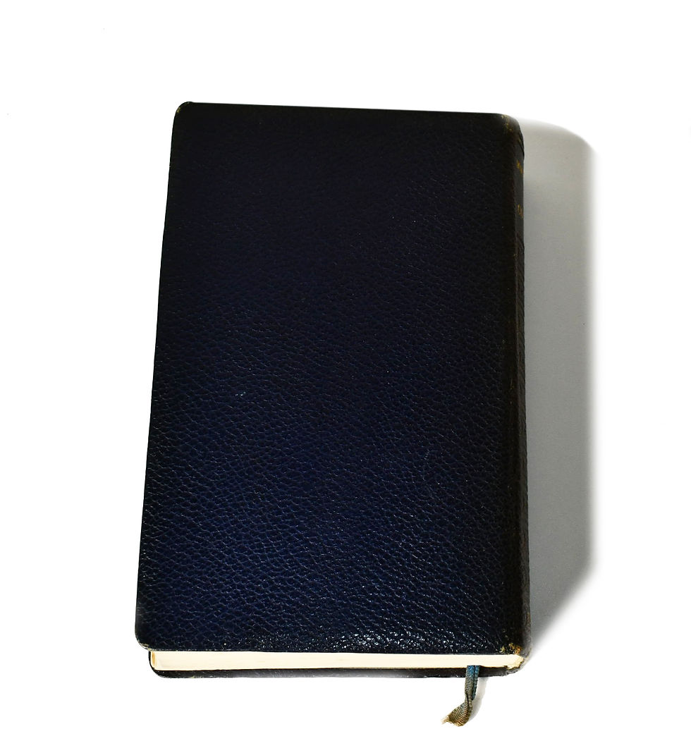 Miniatura: Maxence Van Der Meersch