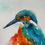Thumbnail: Kingfisher 