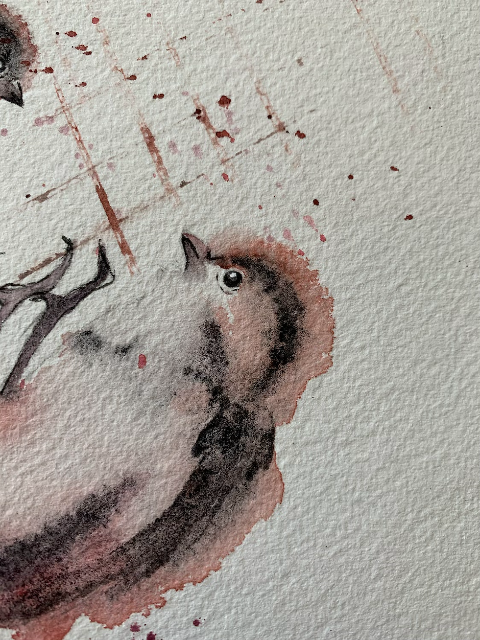 Thumbnail: Long tailed tits 
