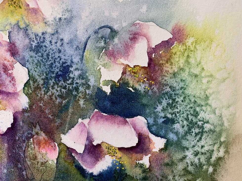 Thumbnail: Hellebores 2
