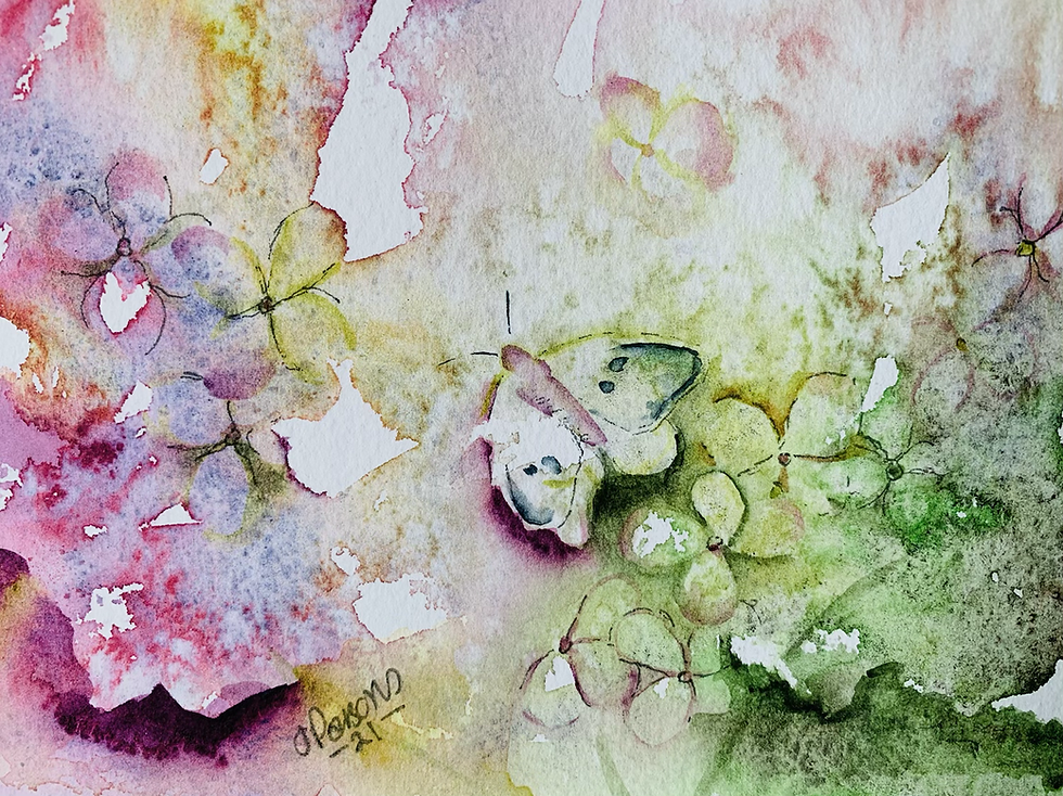 Thumbnail: Hydrangea and butterflies