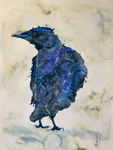 Mr Crow | Joe's watercolours