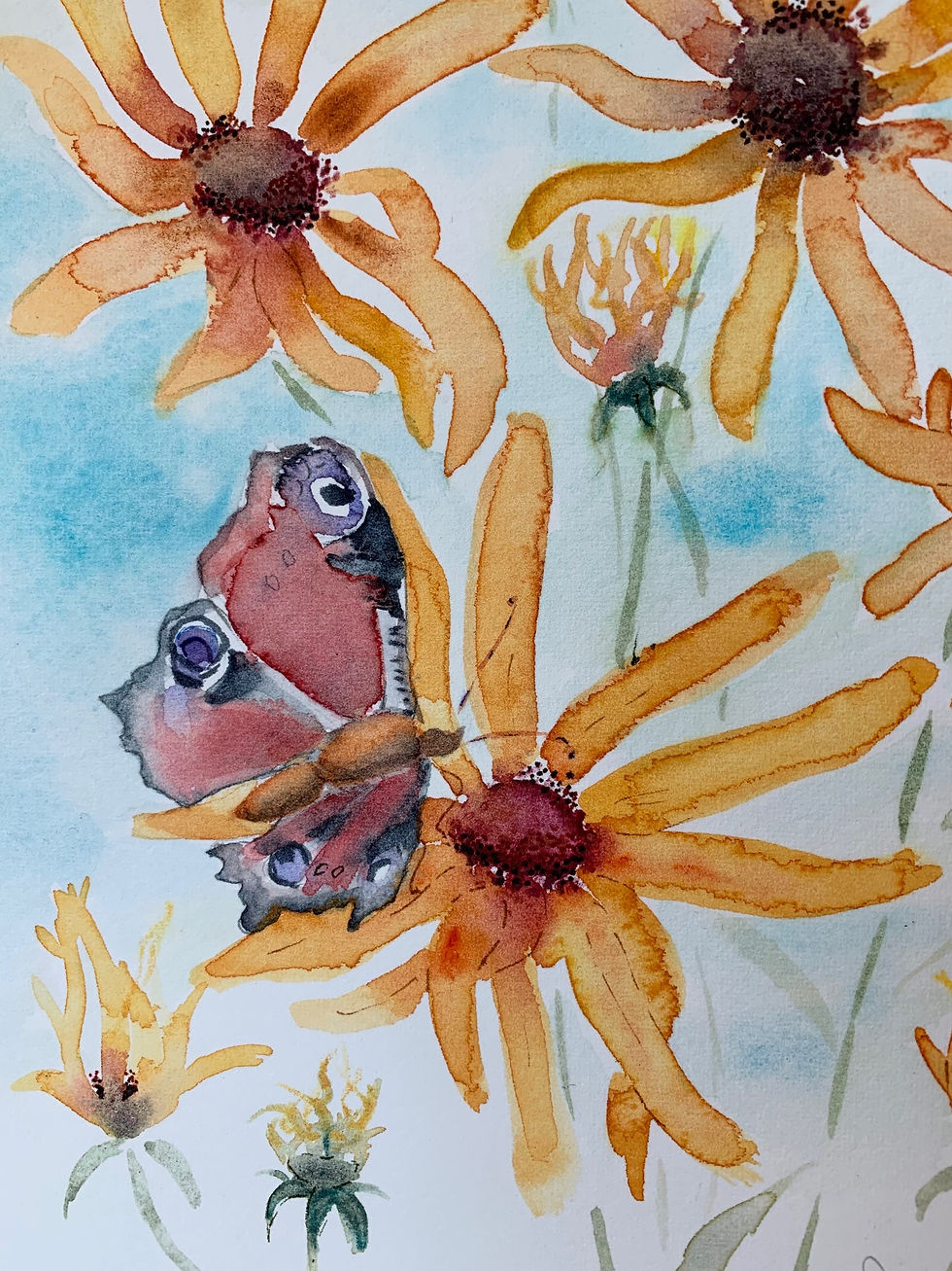 Thumbnail: Rudbeckia