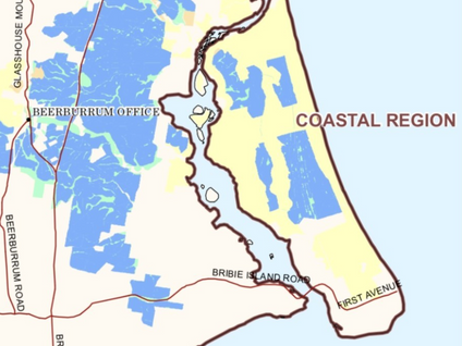 Bribie Pine Plantation Forest Recovering After Fires