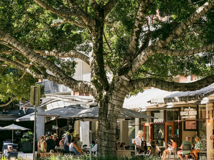 Bribie Island: A day tripper’s paradise in waiting