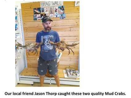 Fishing report May 2022! 