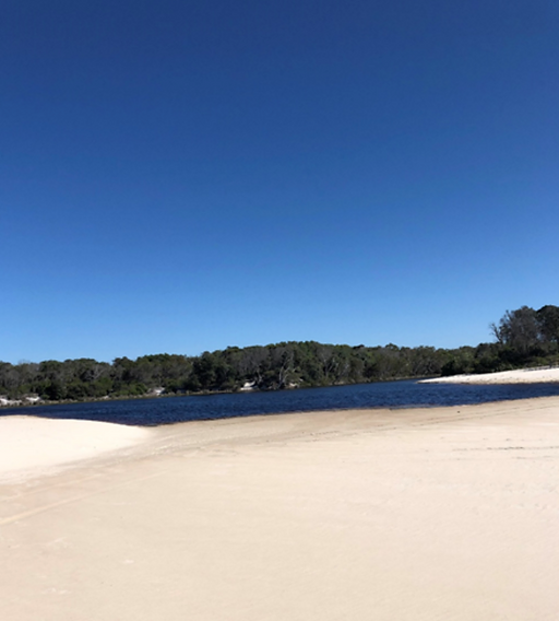 Blog Islandsurrounds