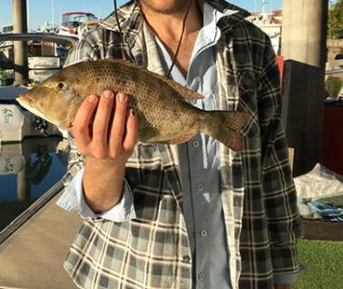 August 2019 Fishing Report – The Island and Surrounds