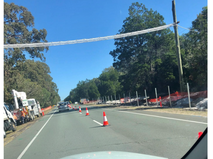 Council moves to protect native wildlife around Bribie roads