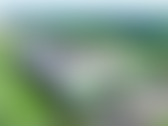 Caboolture Medicinal Cannabis Grower Nearing First Harvest