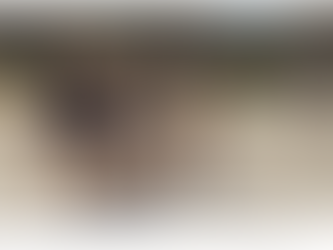 Tallulah returns to the ocean off Bribie