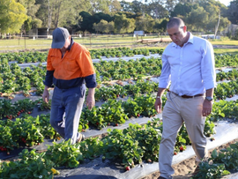 HARVEST TRAIL SERVICES COLLABORATION TRIAL TO HELP AUSTRALIAN FARMS