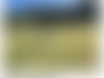 Bribie to play host to national golf croquet tournament