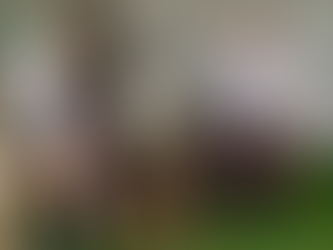 White Ridge Farm – A kid’s delight