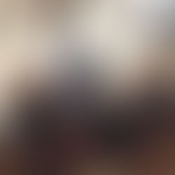 Reasons to Train Through the Festive Season!