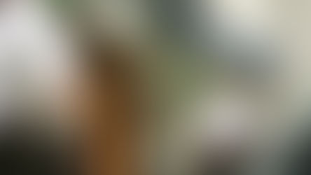 Are Job Fairs Worth it?💼🤔