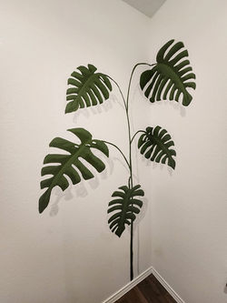 plant mural