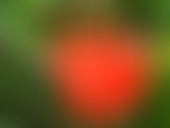 Feu-sons peau neuve ...