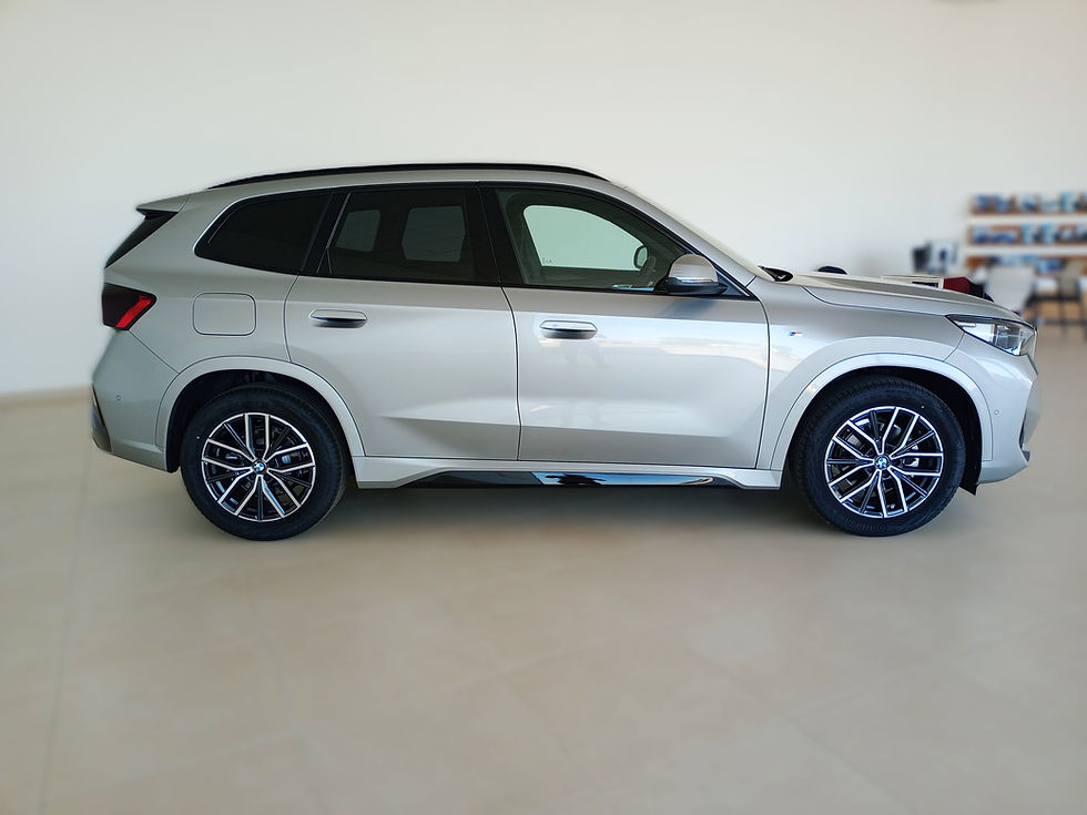 Miniatura: BMW X1 SDRIVE 20D