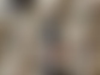 "Where to Find Adorable Micro Sheepadoodle Puppies for Sale in Idaho, USA"