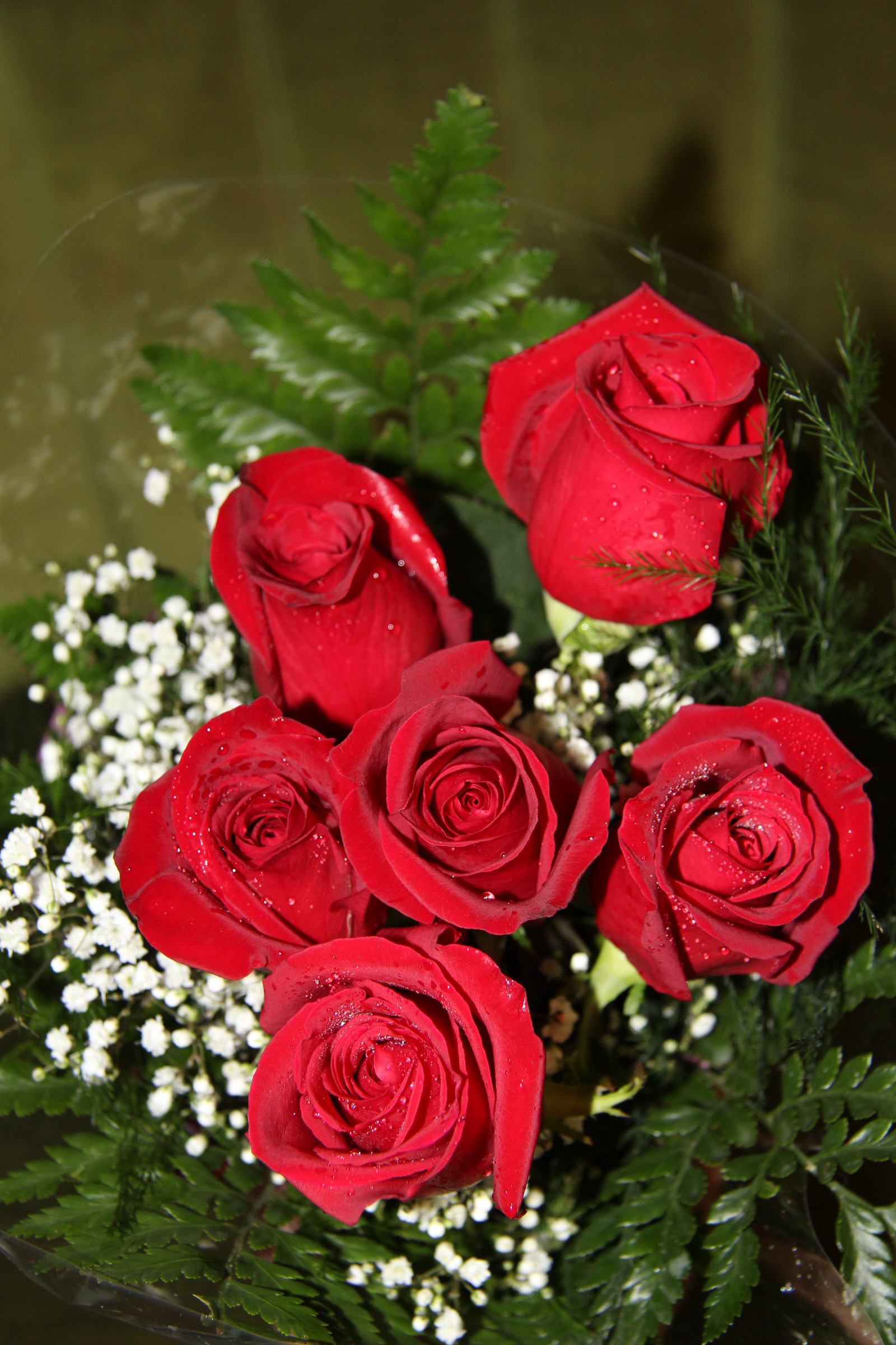 6 Roses Wrapped