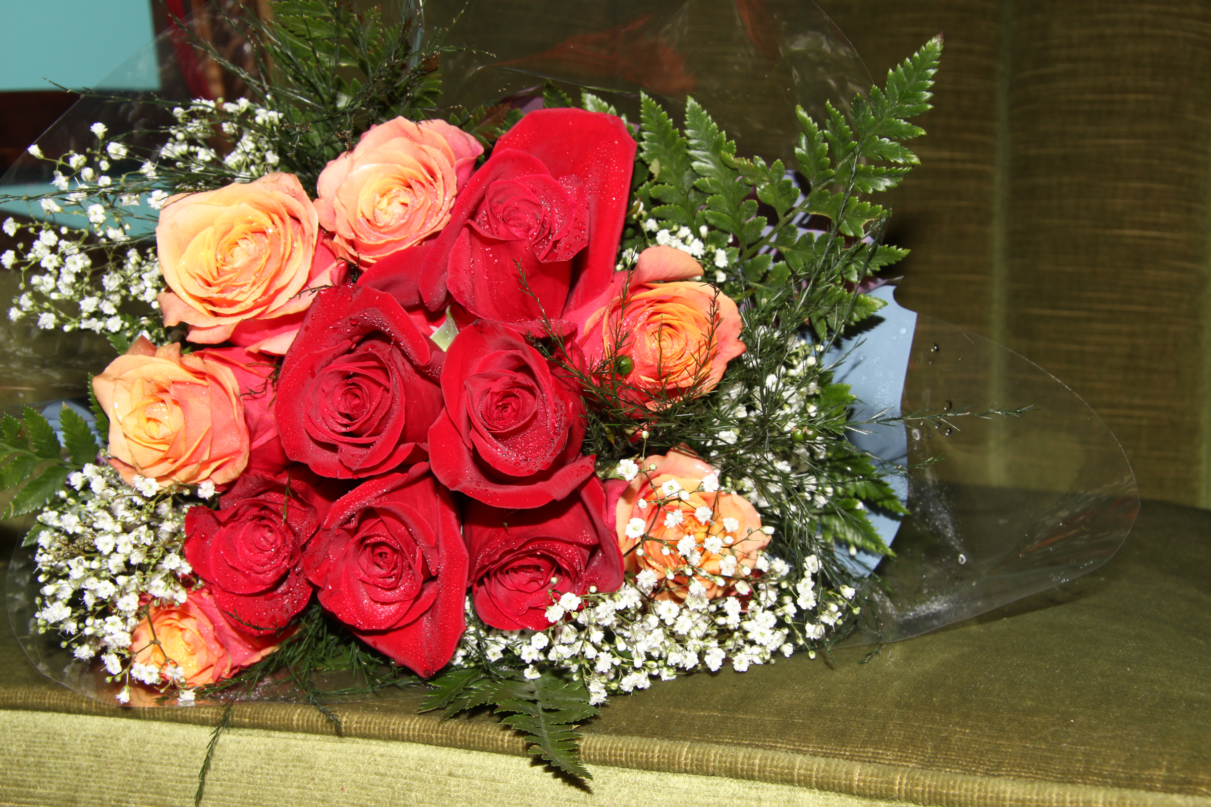 Dozen Roses Wrapped
