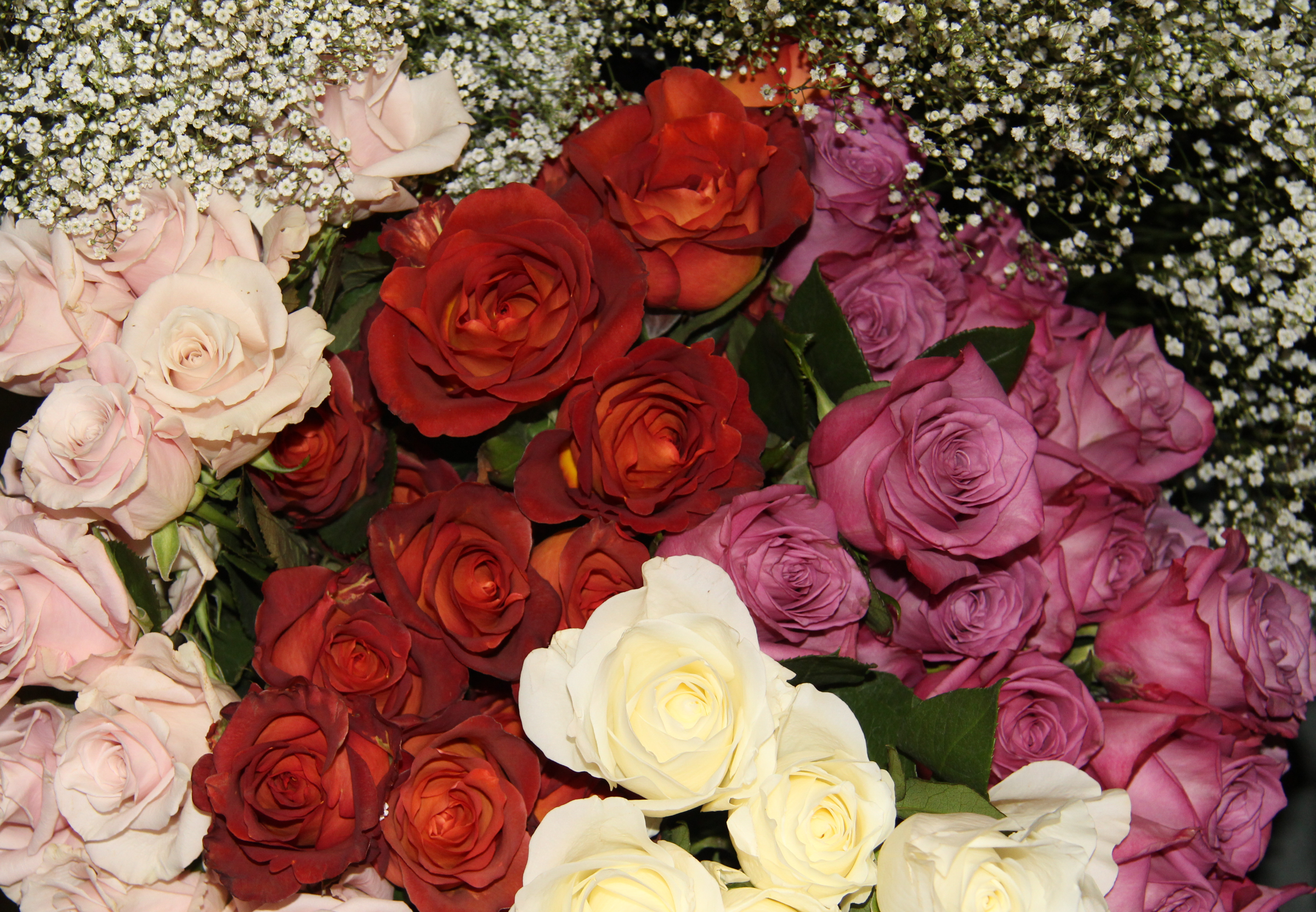 Antique Pink~Rust~Purple~Ivory Roses