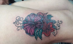 cover up