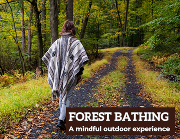Meditative Walks