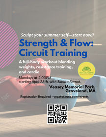Circuit Training