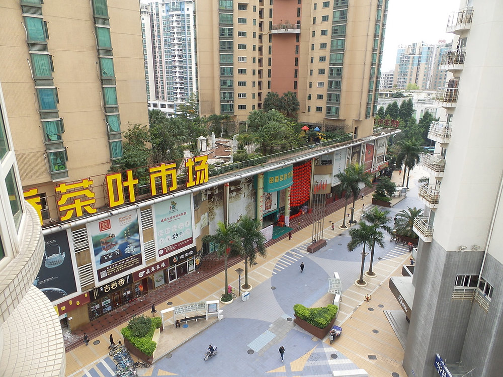 Renting an Apartment in China